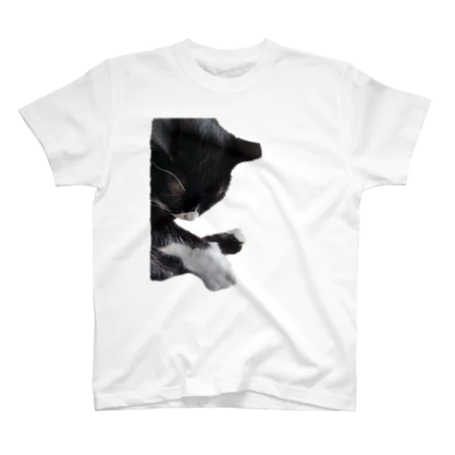 おててを楽しむための眠り猫 スタンダードTシャツ