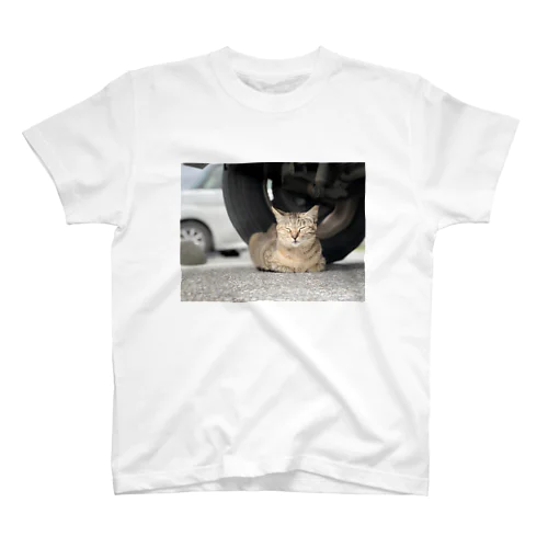 猫のひとやすみ Regular Fit T-Shirt