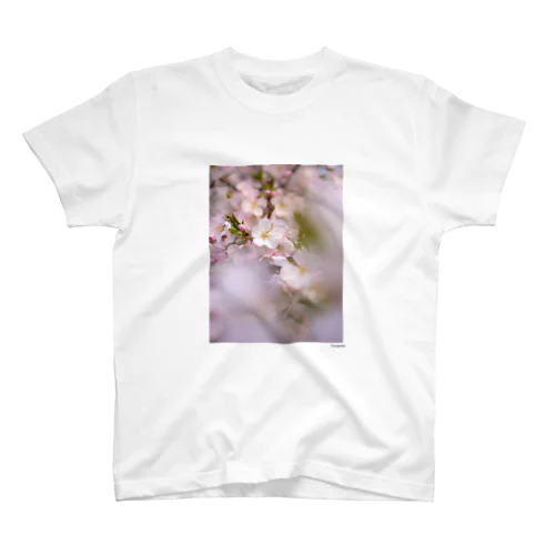 SAKURA 2 スタンダードTシャツ