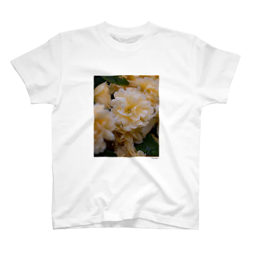 Rose 2 スタンダードTシャツ