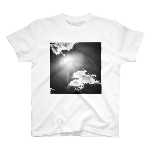 mono-sky Regular Fit T-Shirt