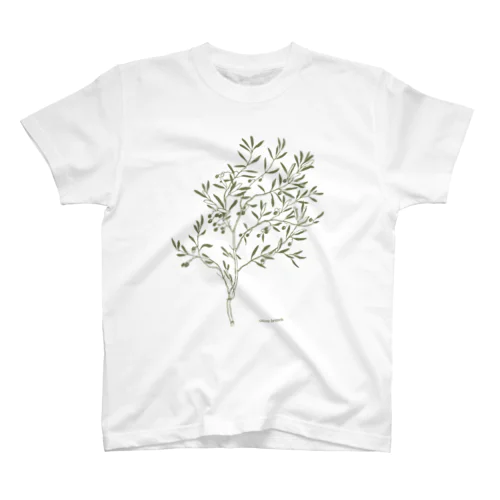 Olive tree Regular Fit T-Shirt