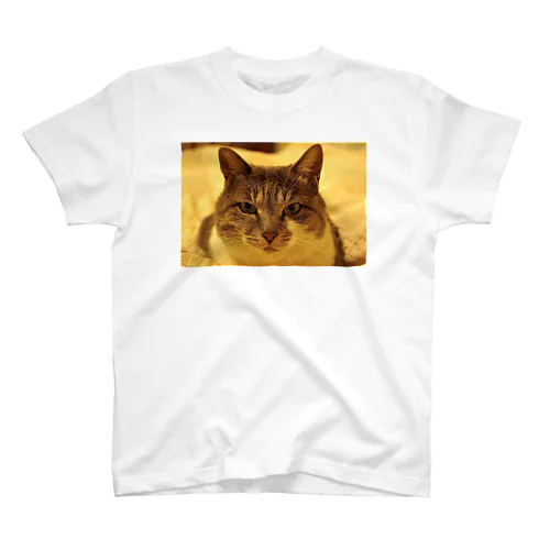 Cat スクラッチフォト風 Regular Fit T-Shirt