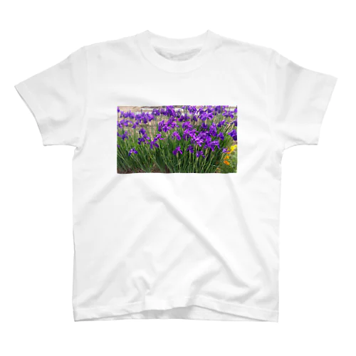 スイセン Regular Fit T-Shirt