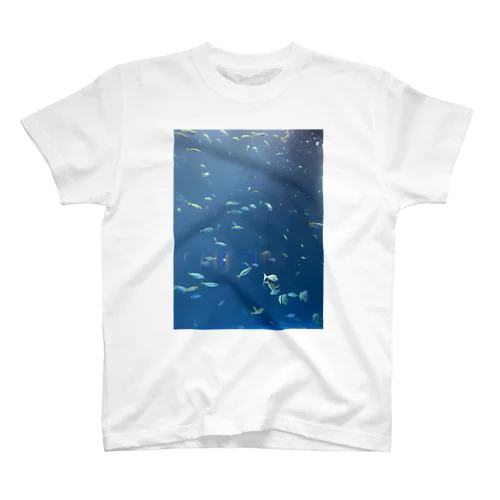 Shikoku island Sea creatures！ スタンダードTシャツ