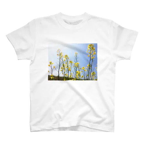 菜の花 スタンダードTシャツ