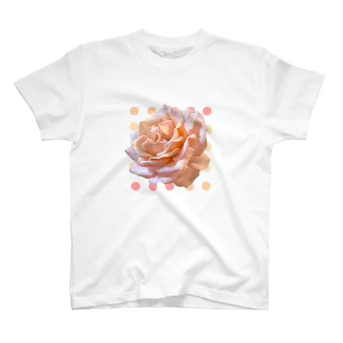 DOT and Pink ROSE スタンダードTシャツ