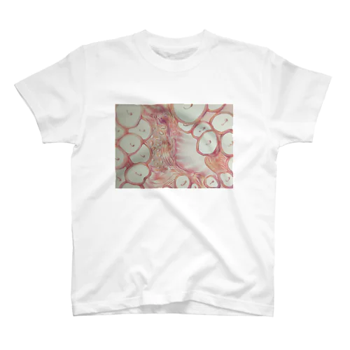 Hot Octopus  スタンダードTシャツ