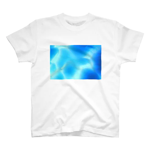 ICE CAVE スタンダードTシャツ