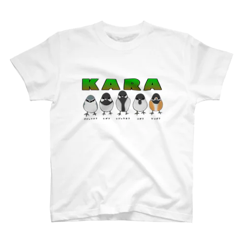 KARA Regular Fit T-Shirt