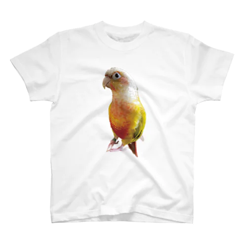 クイル_01（ウロコインコ） Regular Fit T-Shirt