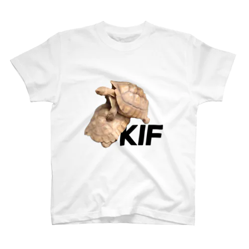 KAME Regular Fit T-Shirt