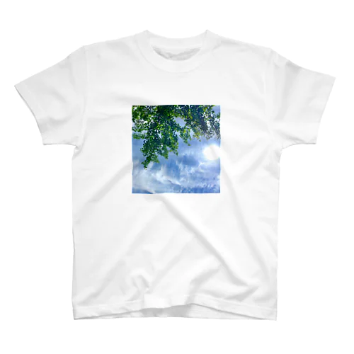 空模様  透け感 Regular Fit T-Shirt