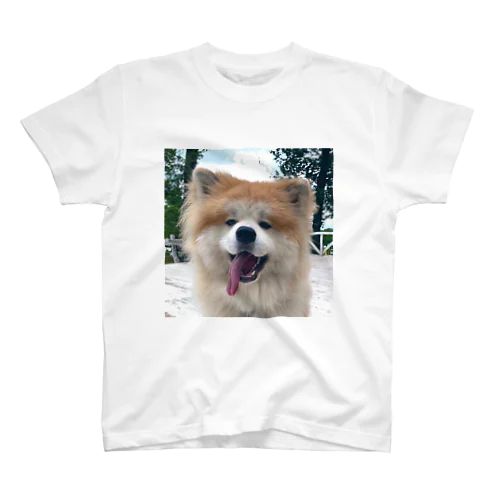 BIG SMILE AKITA スタンダードTシャツ