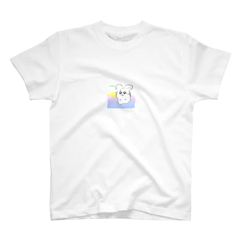 HM スタンダードTシャツ