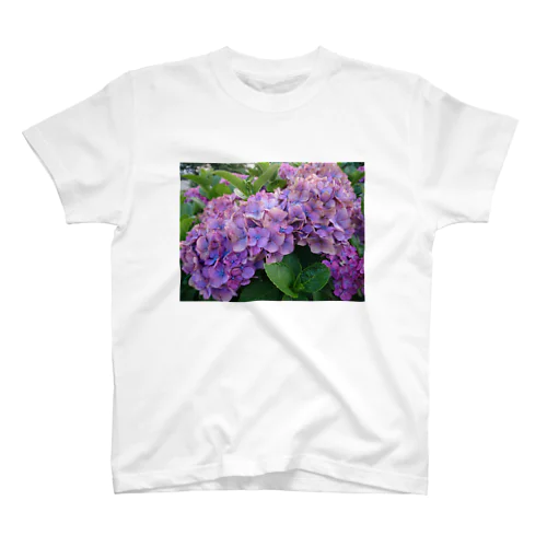 枯れ紫陽花 Regular Fit T-Shirt