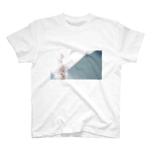 桜 FILM COLOR スタンダードTシャツ