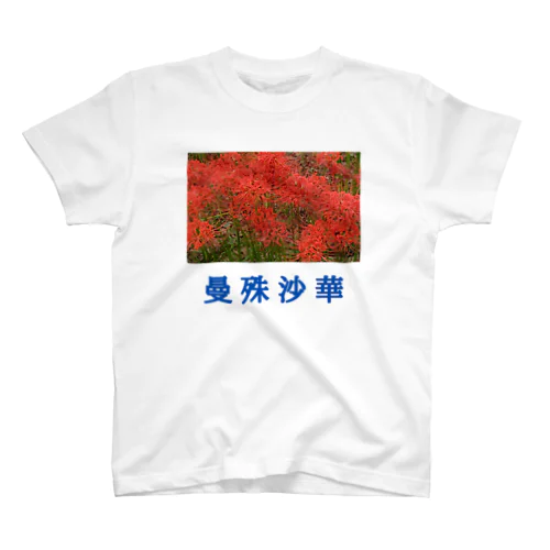 曼殊沙華 スタンダードTシャツ