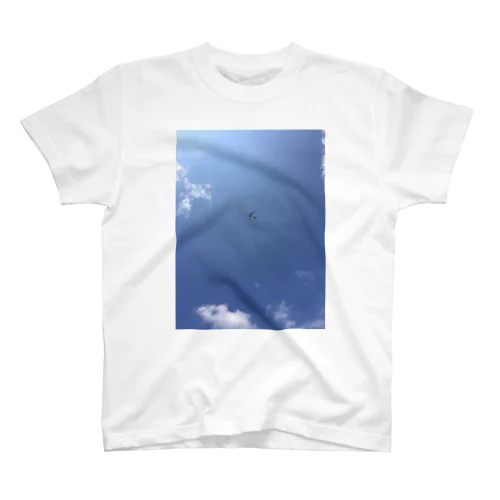 世界の風景:Sky スタンダードTシャツ