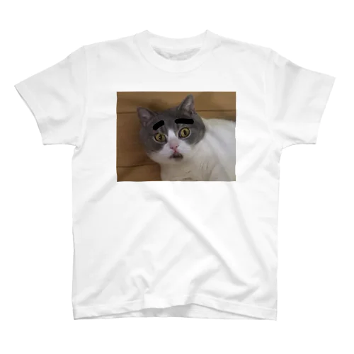 ぷー太郎専用 Regular Fit T-Shirt