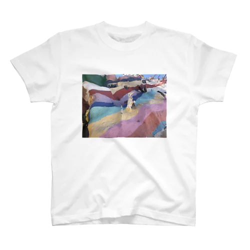 Cat in Salvation Mountain　 スタンダードTシャツ