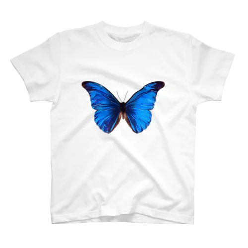 Morpho スタンダードTシャツ