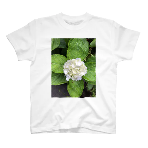 紫陽花 Regular Fit T-Shirt