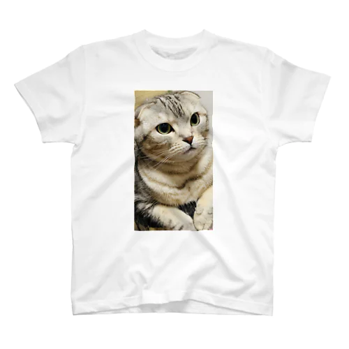 愛猫 スタンダードTシャツ