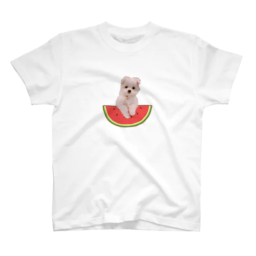 あめちゃん🍬夏 スタンダードTシャツ