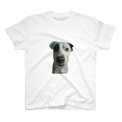 雑種犬の十兵衛1 Regular Fit T-Shirt