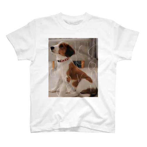 コーイケルホンディエ Regular Fit T-Shirt