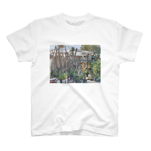 植物市場のサボテン スタンダードTシャツ