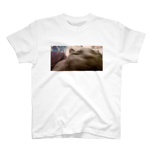 くしゃみ Regular Fit T-Shirt