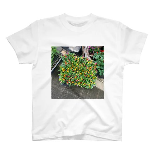 初夏の花壇 Regular Fit T-Shirt