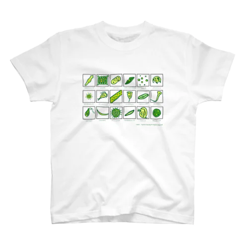【学習シリーズ】微生物（カナ） スタンダードTシャツ