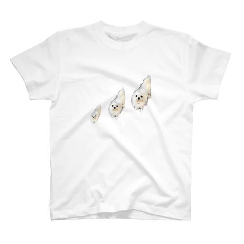 ガン見なさくら Regular Fit T-Shirt