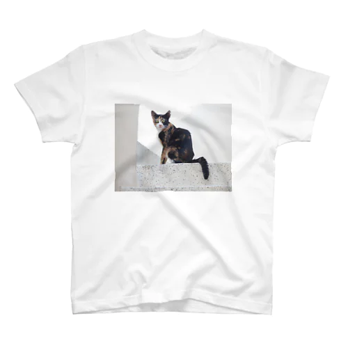 猫好きの聖地、マルタ島の猫さん Regular Fit T-Shirt