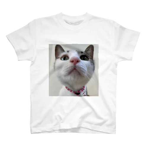 近すぎるねこ Regular Fit T-Shirt