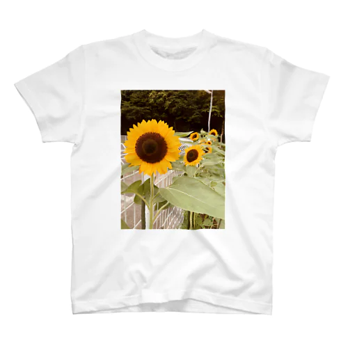 サンフラワー🌻 スタンダードTシャツ