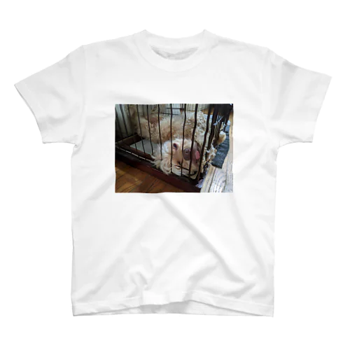 dog Regular Fit T-Shirt