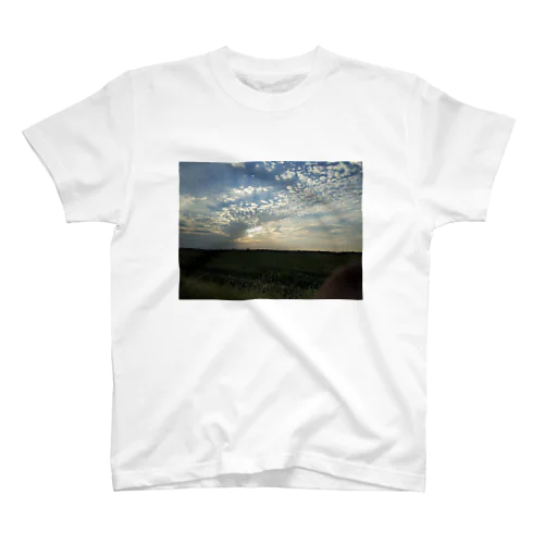 sky Regular Fit T-Shirt