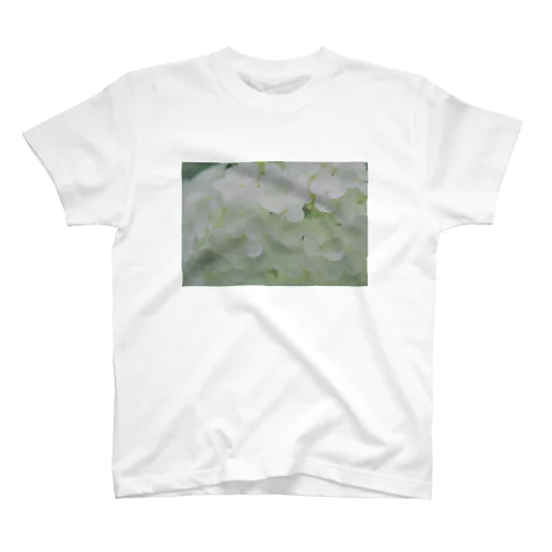 雨と白い紫陽花 スタンダードTシャツ