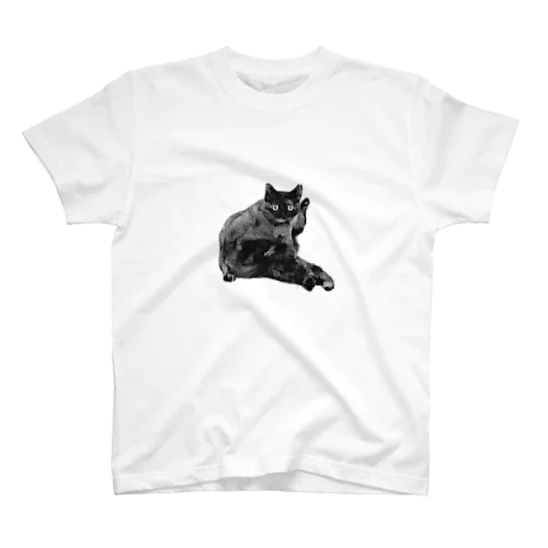 bikkuri cat スタンダードTシャツ