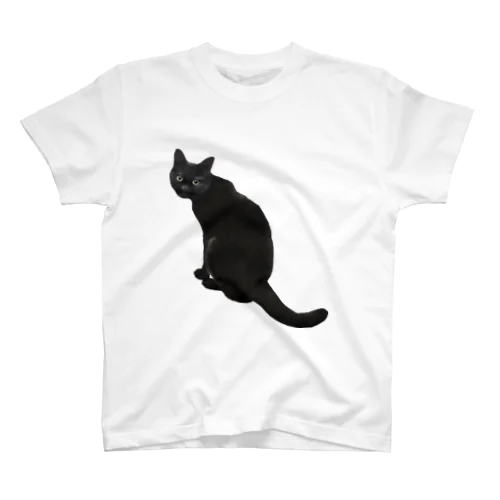 振り向く黒猫 スタンダードTシャツ