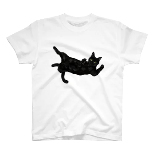 黒猫を抱っこしているように見えるかもしれない スタンダードTシャツ