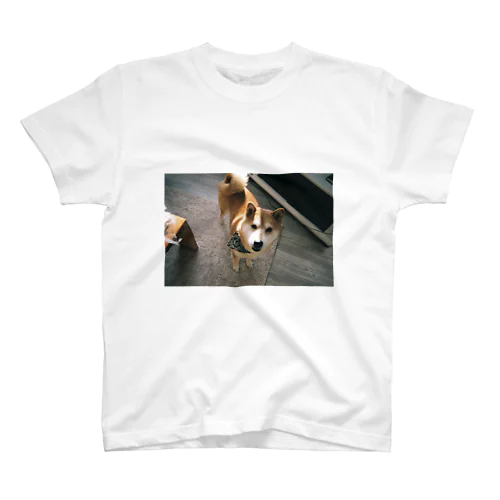 実家の犬 Regular Fit T-Shirt