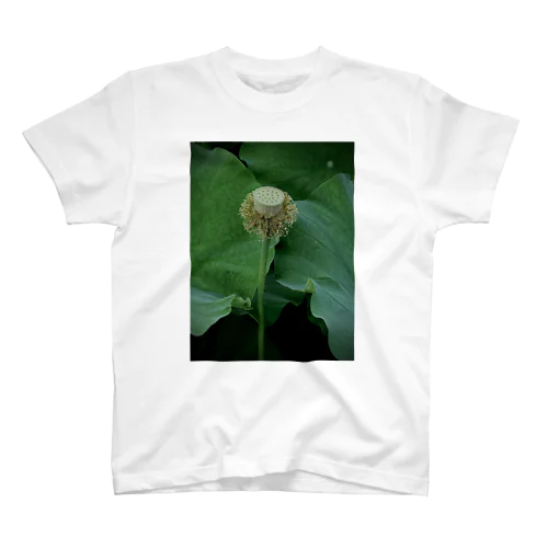 花拓 Regular Fit T-Shirt