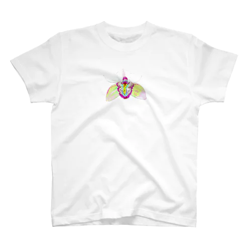 Flower-蘭② スタンダードTシャツ