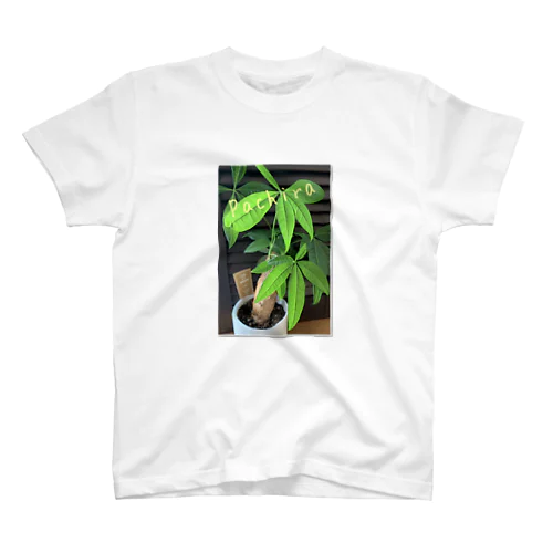 緑のパキラ Regular Fit T-Shirt