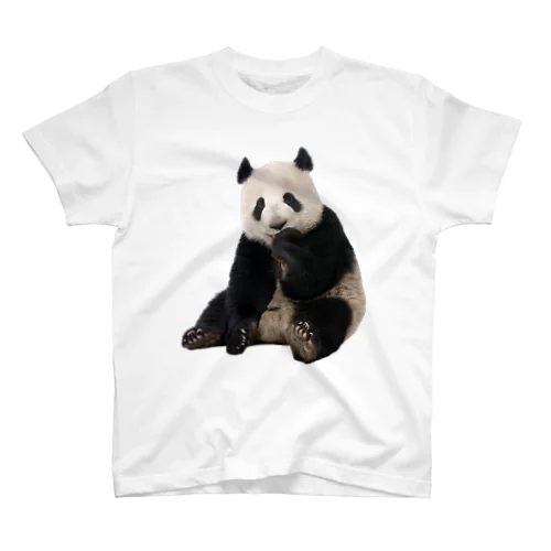パンダ Regular Fit T-Shirt